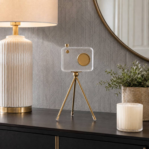 Gold Acrylic and Brass Camera, 10 in.