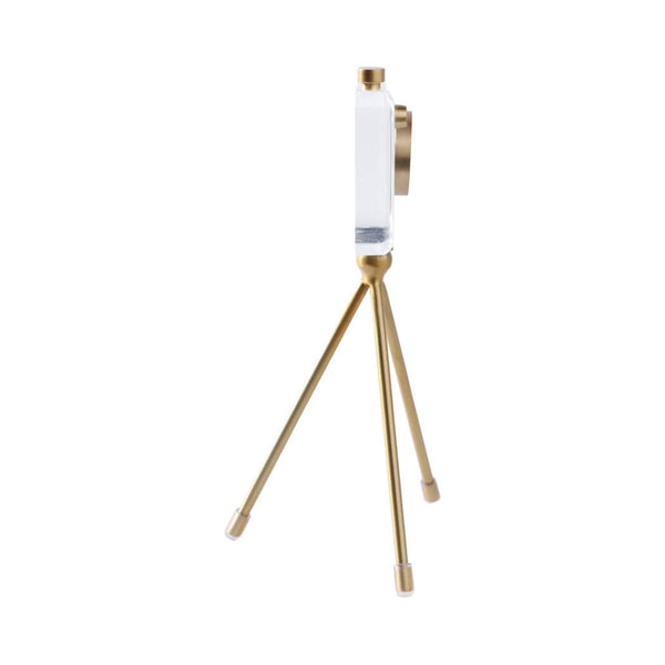 Gold Acrylic and Brass Camera, 10 in.